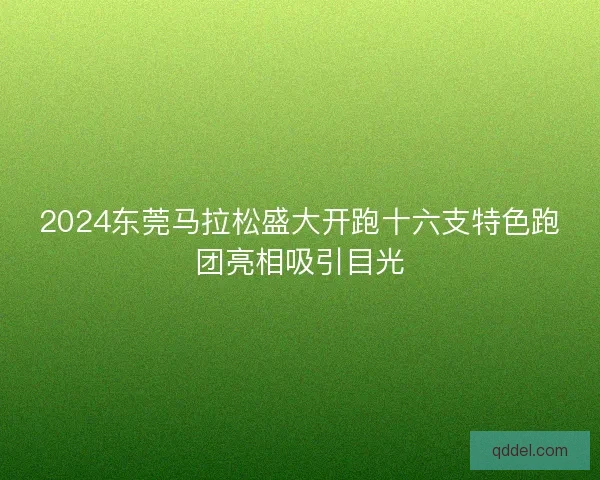 2024东莞马拉松盛大开跑十六支特色跑团亮相吸引目光