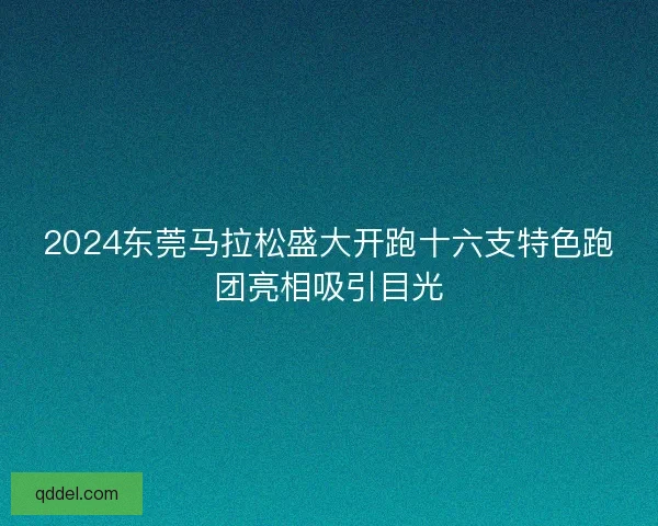 2024东莞马拉松盛大开跑十六支特色跑团亮相吸引目光