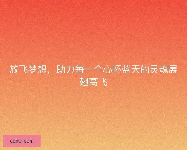 放飞梦想，助力每一个心怀蓝天的灵魂展翅高飞